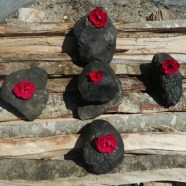 img-20160709-wa0034_resized