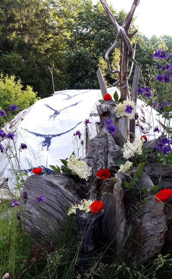 20190608_071746_resized