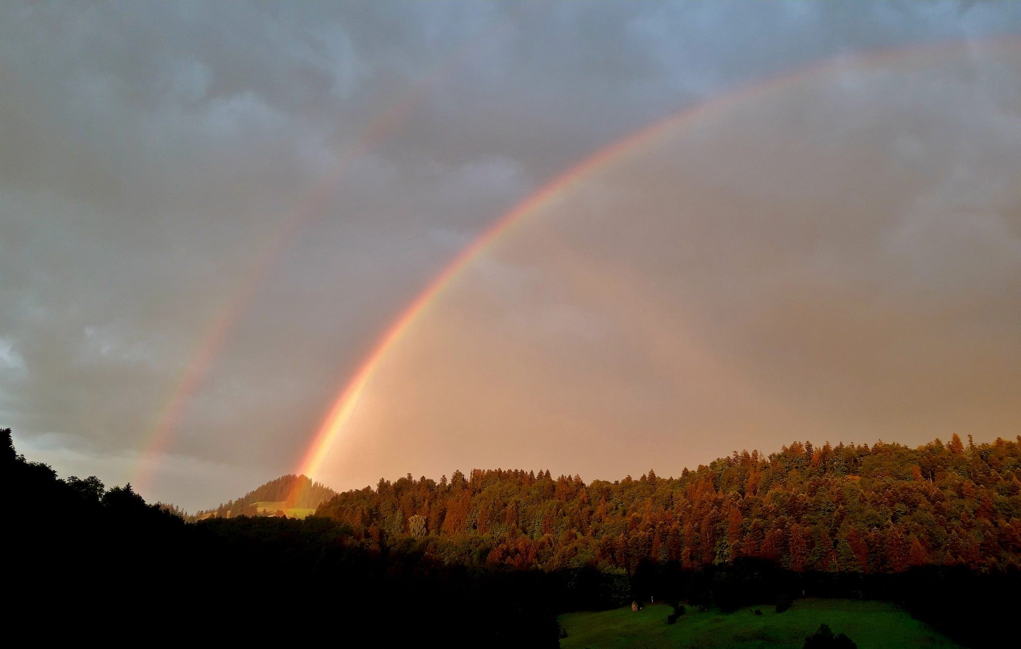 20200701_211738_resized_1