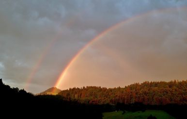 20200701_211738_resized_1